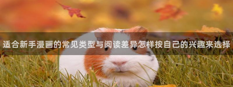 漫蛙漫画在线免费看