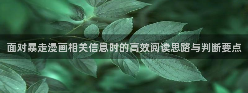 漫蛙漫画网页阅读